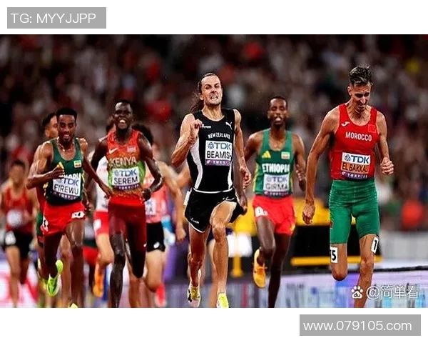 田径赛事全解析:从起跑线到终点线的挑战与突破