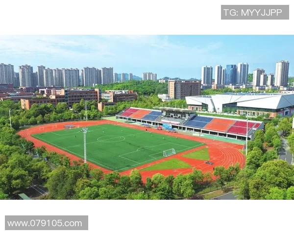 张丽的足球人生：从小球场到世界舞台的深度对话与成长历程
