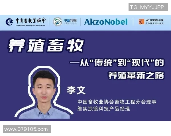 上海篮球队的反击革新之路:重塑战术与团队协作的全新篇章 上海篮球队的反击革新之路:重塑战术与团队协作的全新篇章